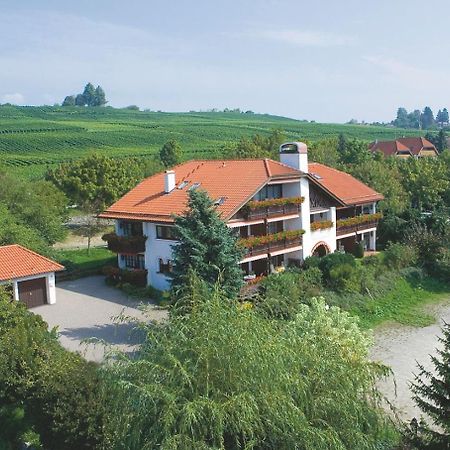 Hotel Alpina Hagnau Bagian luar foto
