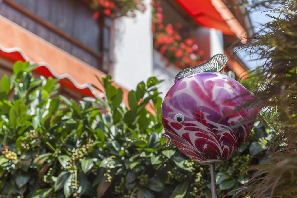 Hotel Alpina Hagnau Bagian luar foto