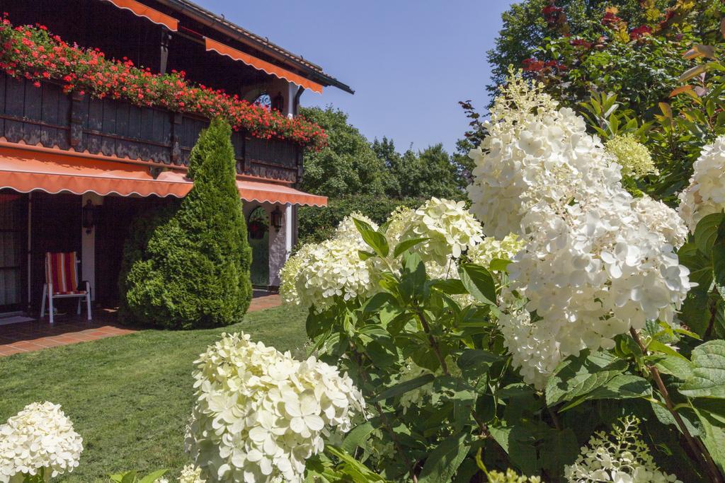 Hotel Alpina Hagnau Bagian luar foto